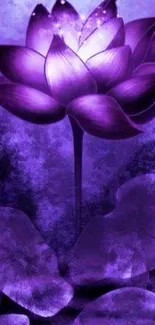 Purple lotus flower wallpaper with vibrant and serene design.