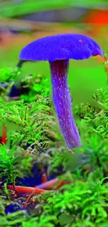 Purple mushroom amidst green moss in vibrant forest scene.