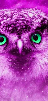 Purple owl with glowing green eyes on a vibrant background.