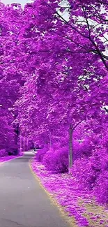 Vibrant pathway with lush purple trees and foliage.