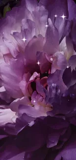 Vibrant purple peony in bloom on a mobile wallpaper background.