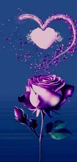 Midnight blue wallpaper with purple rose and heart.