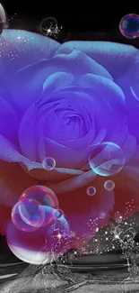 Purple rose with bubbles on a black background