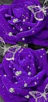 Purple roses with butterflies wallpaper design.