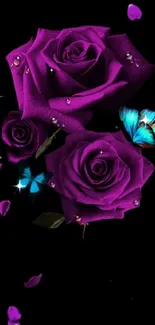 Purple roses and blue butterflies on black wallpaper.