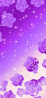 Vibrant purple roses wallpaper with starry accents.