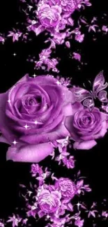 Purple roses and butterfly on dark background wallpaper.