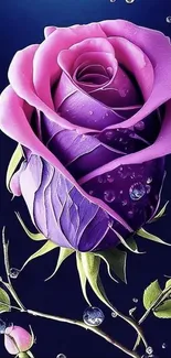 Purple 3D rose with water droplets on a dark background.