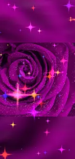 Stunning purple rose with sparkling stars mobile wallpaper.