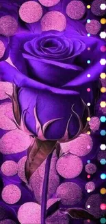 Purple rose with glowing circles, vibrant and elegant.