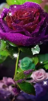 A vibrant purple rose adorned with shimmering dew drops.