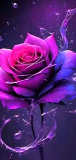 Vibrant purple rose with artistic swirls on a dark background.