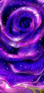 Vibrant purple rose with stars mobile wallpaper.