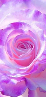 Vibrant lavender rose with soft petals in mobile wallpaper.