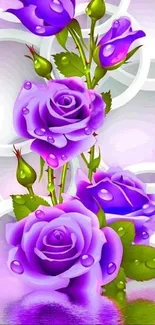 Vibrant purple roses with water droplets.