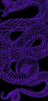 Purple serpent artwork on a dark background, detailed and mystical.