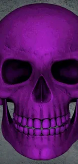 Vibrant purple skull against gray texture.