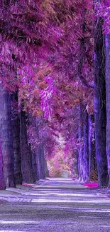 A vibrant purple tree path creating a surreal and colorful nature scene.