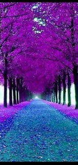 Purple tree pathway creating a stunning natural tunnel.