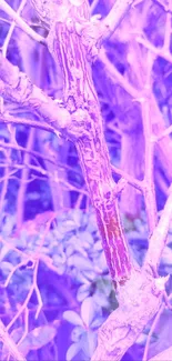 Abstract purple tree branches with natural elements.