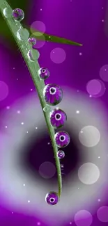 Close-up of vibrant purple droplets on a leaf with a floral background.