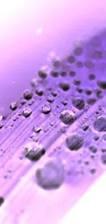 Purple leaf with water droplets close-up wallpaper.