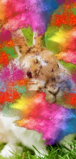 Cute bunny with vibrant colorful powder bursts on mobile wallpaper.