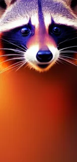 Vibrant raccoon wallpaper with an orange glow.