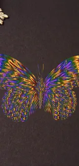 Vibrant rainbow butterfly on a dark background, artistic mobile wallpaper.