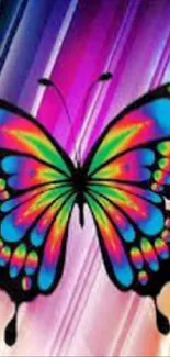 Colorful rainbow butterfly on vibrant background.