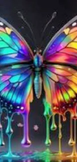 Colorful rainbow butterfly with vibrant dripping wings design.