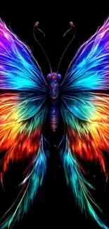 Colorful rainbow butterfly with vibrant wings on black background.