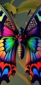 Vibrant butterfly with rainbow colors on a leaf.