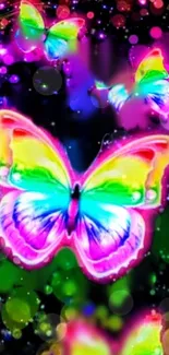 Vibrant rainbow butterflies on dark background.