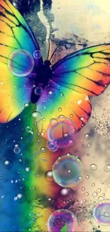 Colorful rainbow butterfly with bubbles.