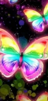 Colorful rainbow butterflies on dark background wallpaper.