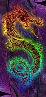 Colorful dragon on a purple feather background.