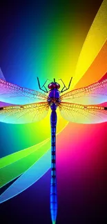 Colorful dragonfly with vibrant rainbow wings on a dark background.