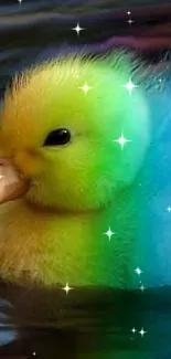 A vibrant, rainbow-colored duckling swimming in reflective dark water.