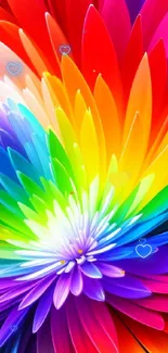 Vibrant rainbow flower wallpaper with colorful petals in a dazzling design.