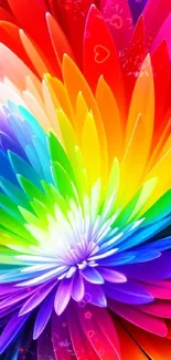 Vibrant rainbow flower wallpaper with colorful petals.