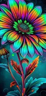 Vivid rainbow-colored flower with teal background.