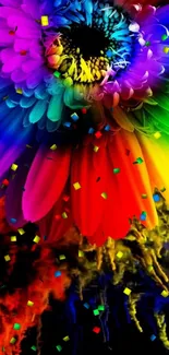 Vibrant rainbow flower with colorful petals on a black background.