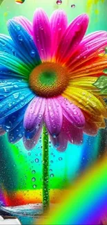 Rainbow-colored flower in glass with water droplets.