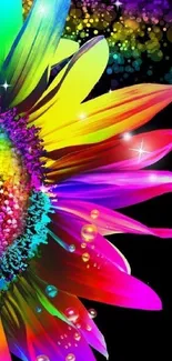 Vibrant rainbow flower wallpaper with colorful petals on a black background.