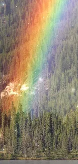 Vibrant rainbow stretching over a lush forest landscape.