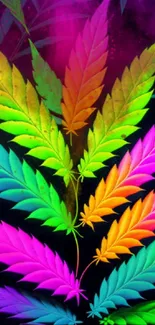 Rainbow-colored leaves on a dark background wallpaper