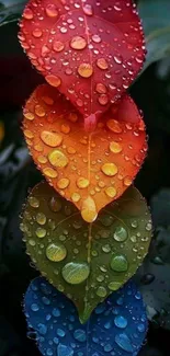 Vibrant leaves with water droplets in rainbow colors.