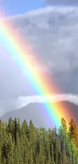 Rainbow arching over a lush forest with mountains in the background.