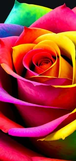 Vibrant rainbow rose with multicolored petals, close-up view.